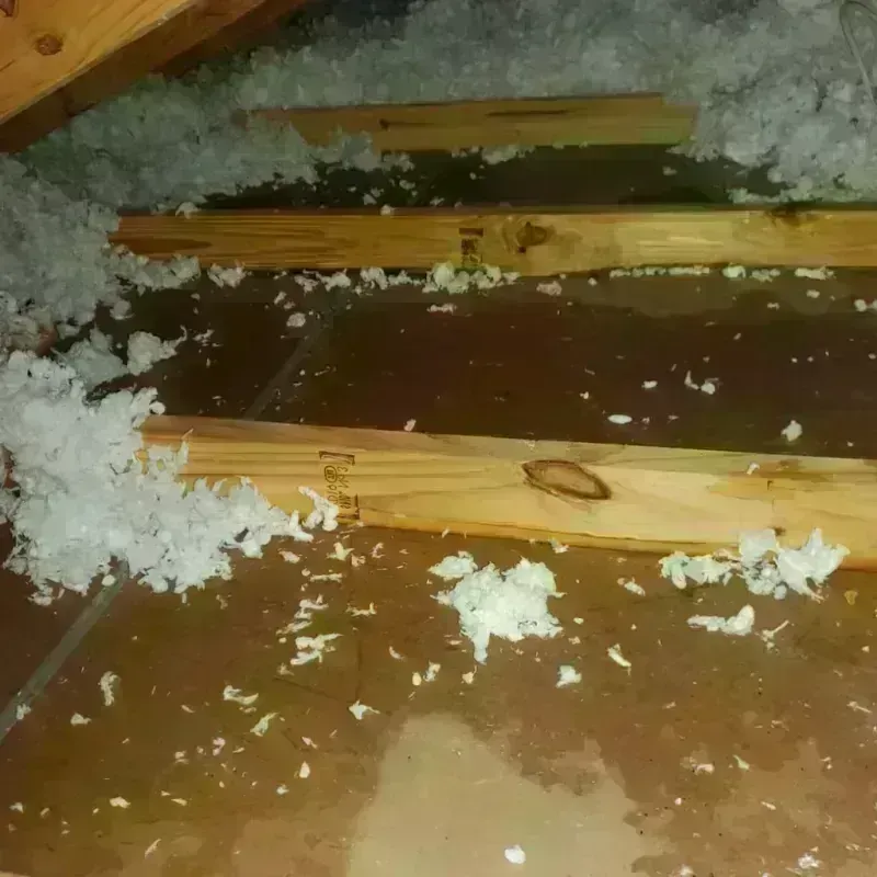 Attic Water Damage in Emporia, VA